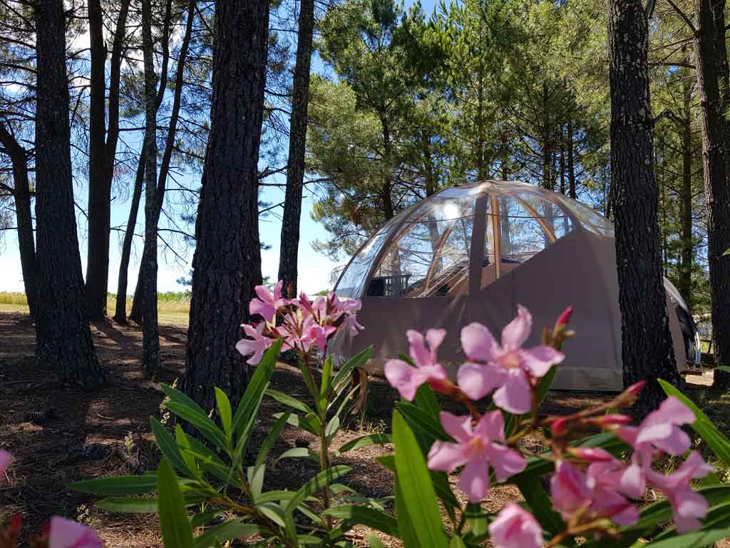 location vacances insolites sud ardeche